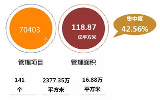 企業(yè)管理服務(wù)行業(yè)動(dòng)態(tài) 數(shù)字化轉(zhuǎn)型與創(chuàng)新管理趨勢(shì)