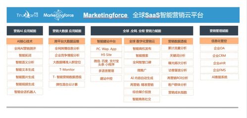 珍島集團躋身工信部中小企業數字化賦能服務推薦目錄，引領企業管理服務新篇章